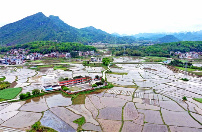 廣西田園美景入畫來