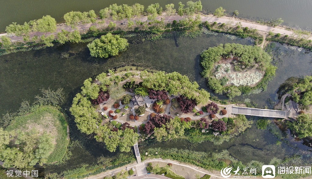 临沂李公河湿地公园图片
