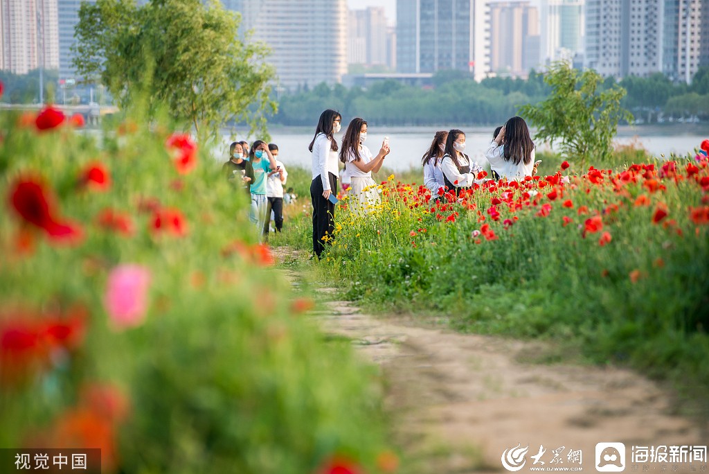 临沂阳光沙滩图片