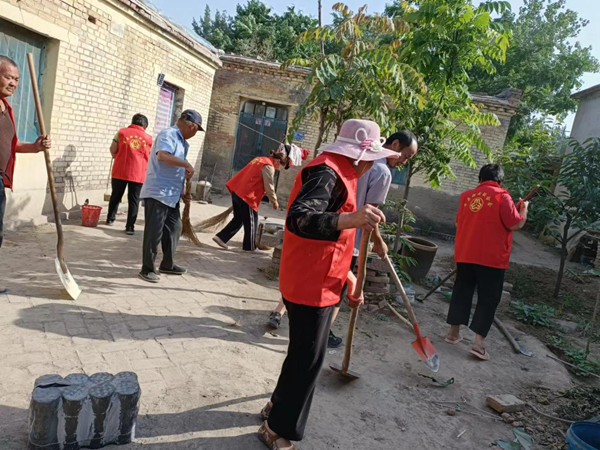 莘县观城镇常丽花照片图片