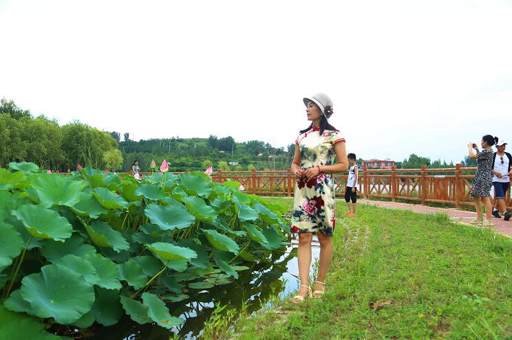 新泰莲花山花海图片