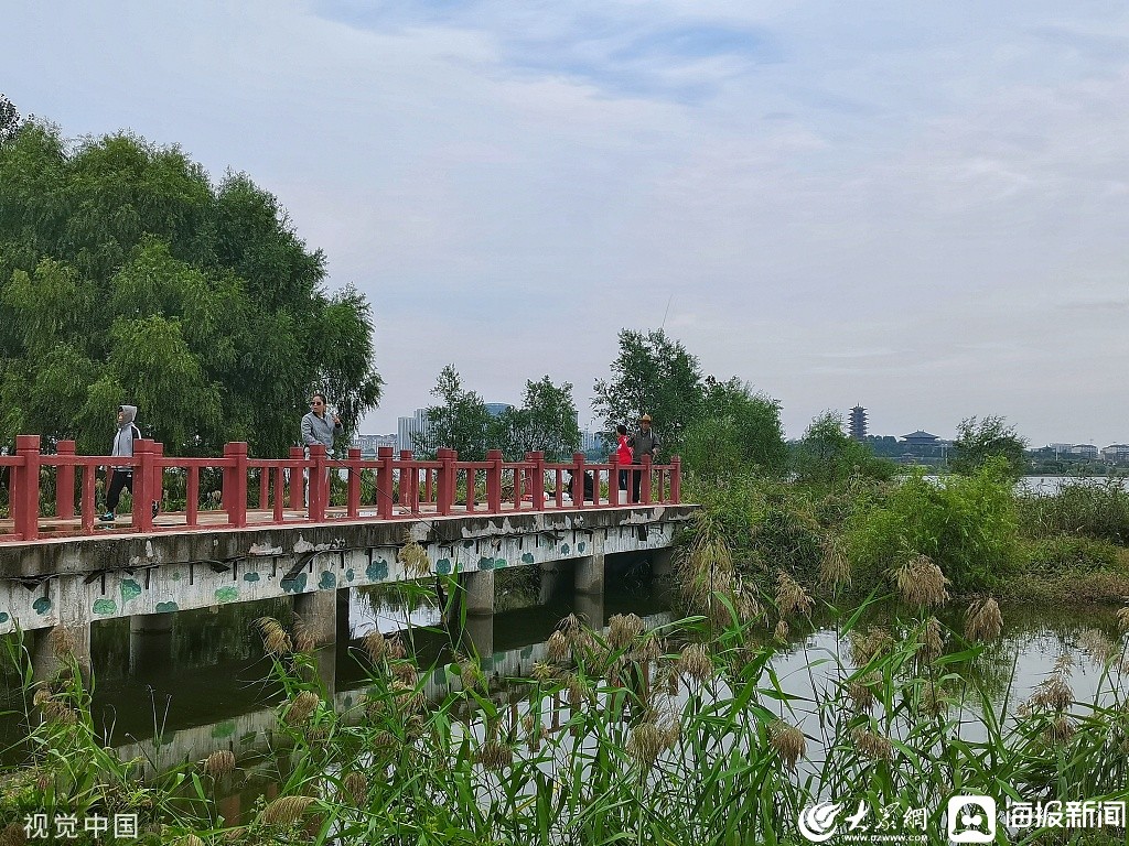 临沂小埠东橡胶坝湿地风光