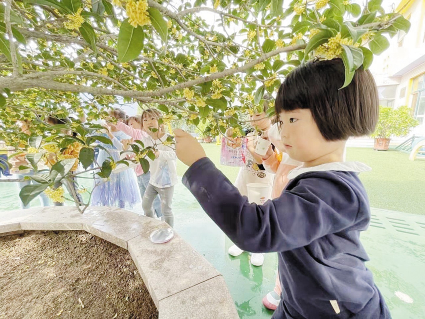 威海经济技术开发区凤林街道中心幼儿园举办“走向大自然”活动