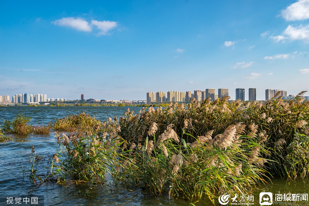 临沂沂河湿地风光