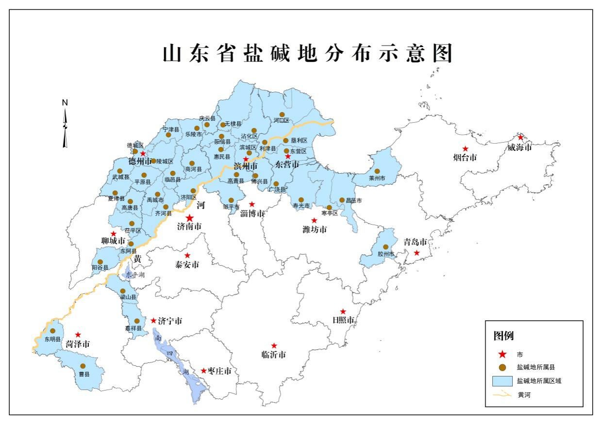 河南盐碱地分布图图片