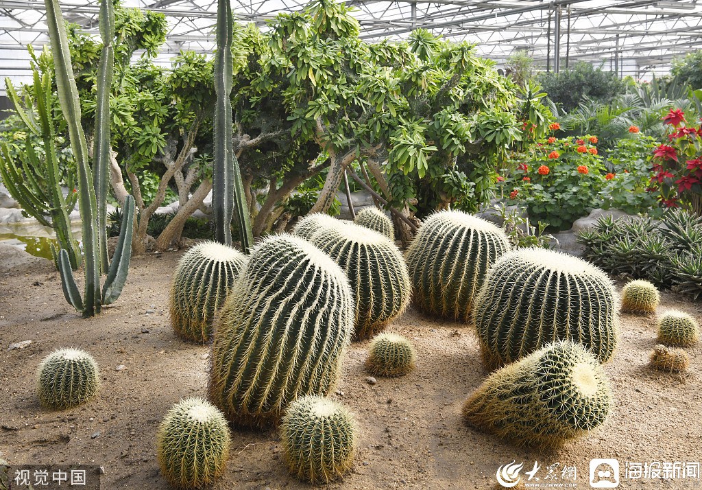 兰陵植物园图片