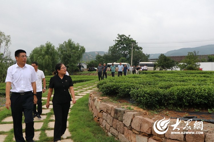 莒县洛河镇风水大师图片