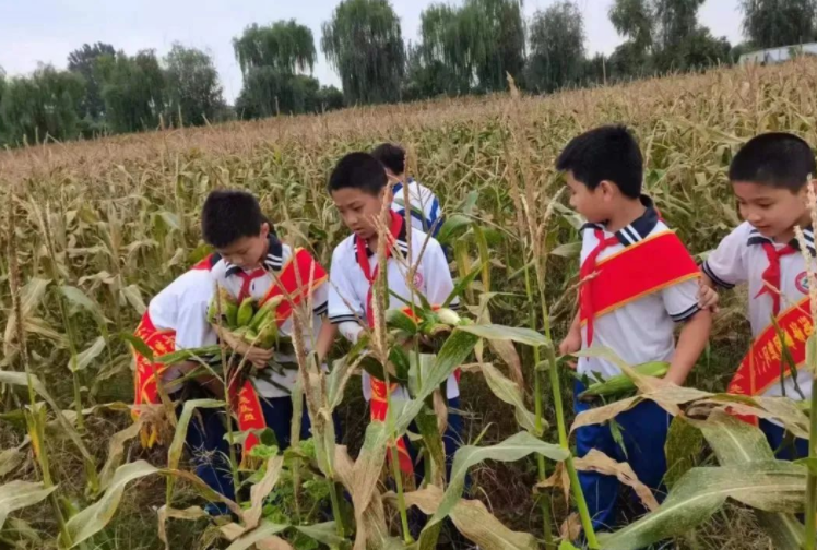 菏泽鲁西新区各学校开展“中国农民丰收节”劳动实践活动
