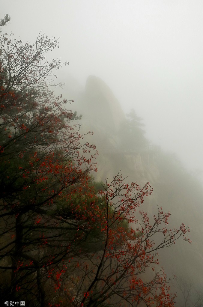 雨后山间图片