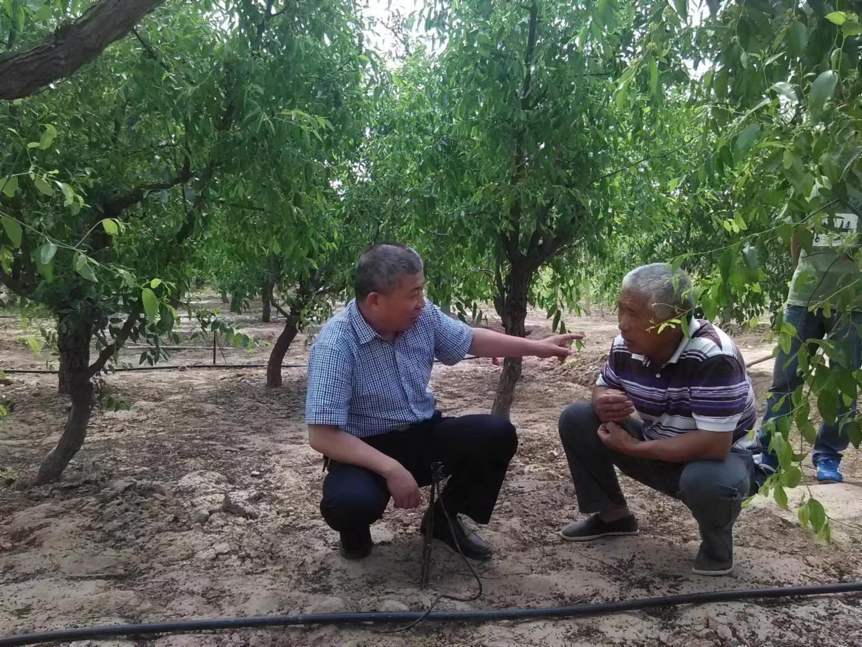 济南大学教授带领团队破解黄河三角洲土壤盐渍化问题