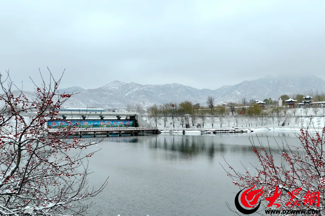 濱州鄒平市雪落青陽驚豔了這個冬天