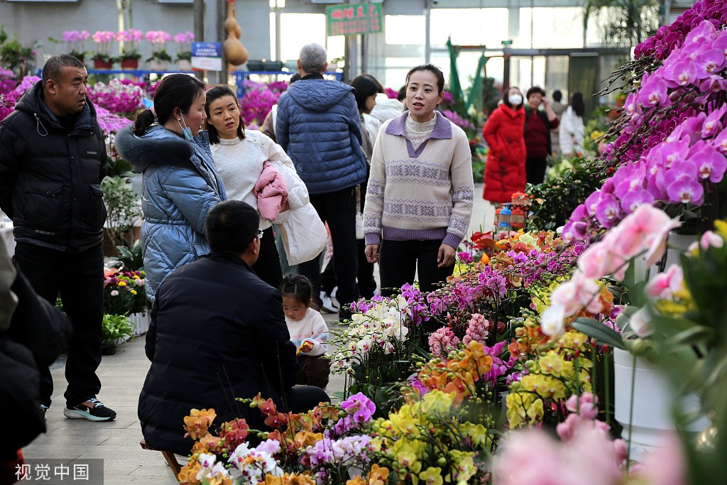 临沂市花卉市场图片