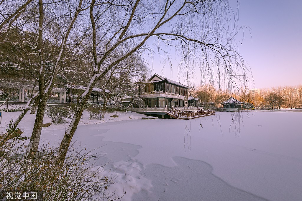 雪后的公园真美啊图片