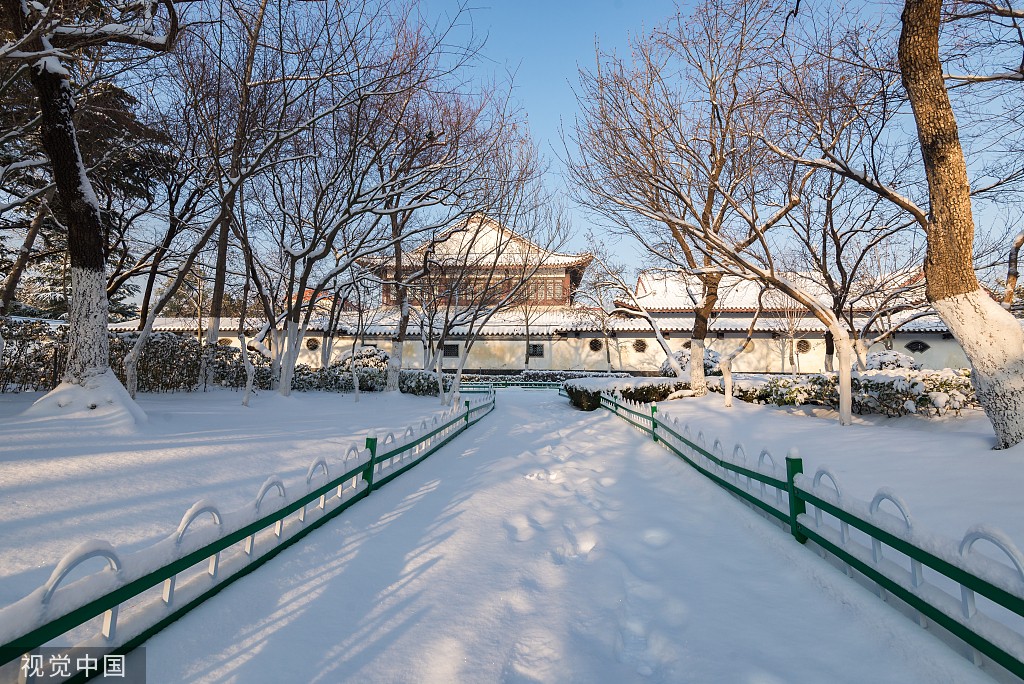 雪后的公园真美啊图片