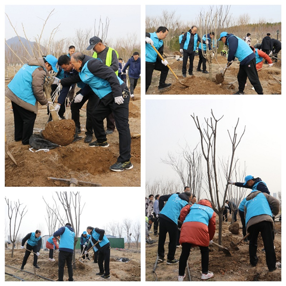 济南市城乡水务局水务服务中心组织开展“植下一棵树 收获万点绿”主题志愿服务活动