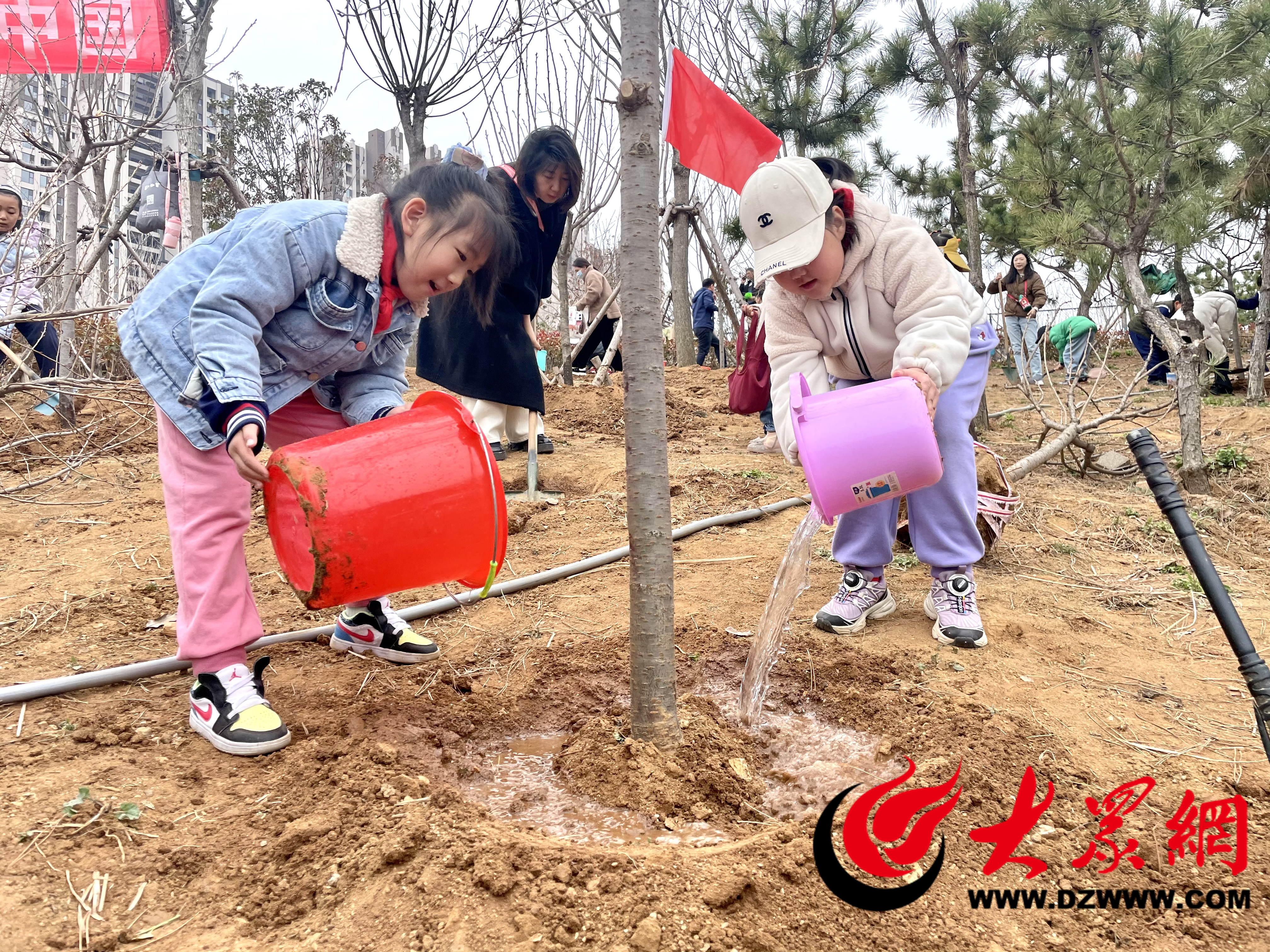 栽植苗木90余株李沧区组织开展学生义务植树活动