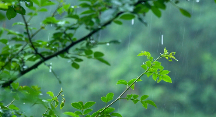 清明雨上图片唯美图片