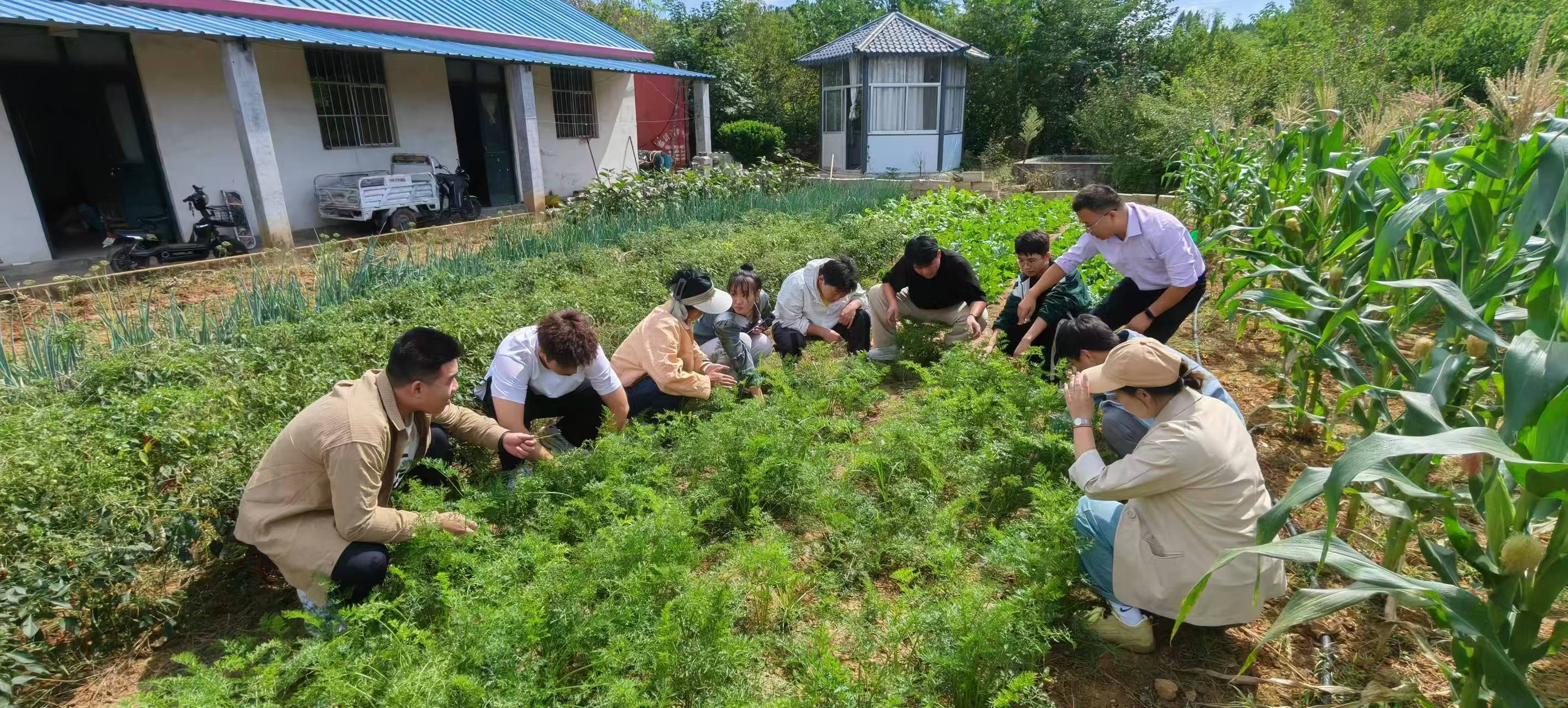 青岛理工大学临沂校区开展“躬身劳动，共庆丰收”丰收节主题活动