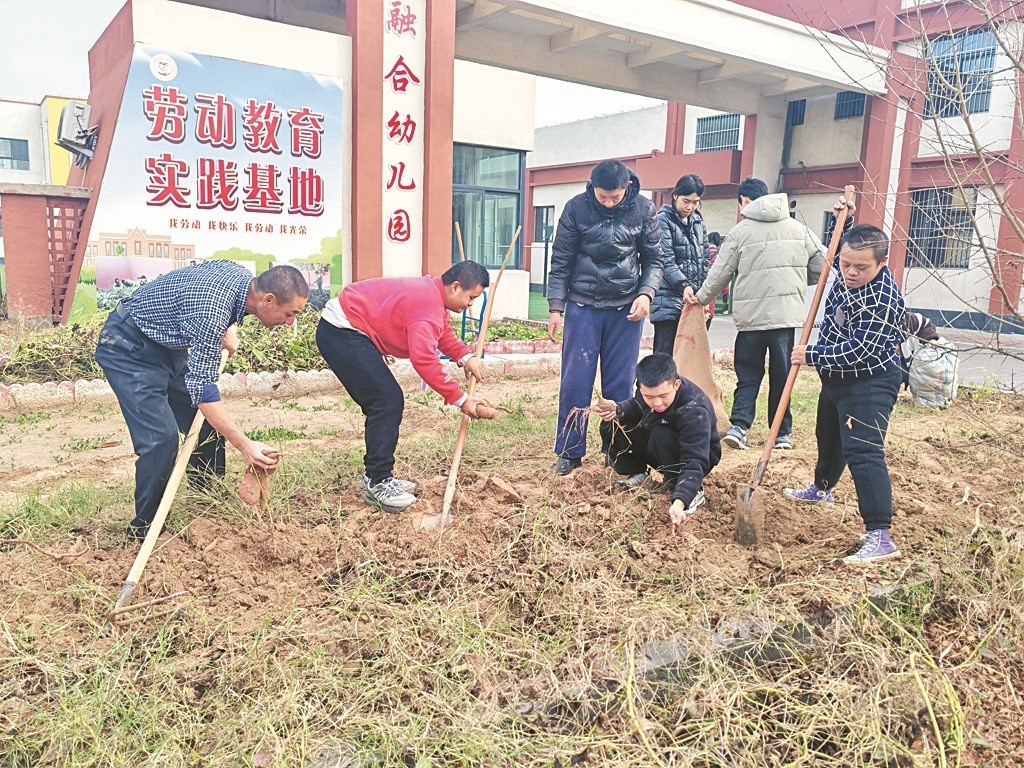 菏澤市定陶區(qū)特殊教育中心學(xué)校的地瓜田里迎來了一群小勞動(dòng)者