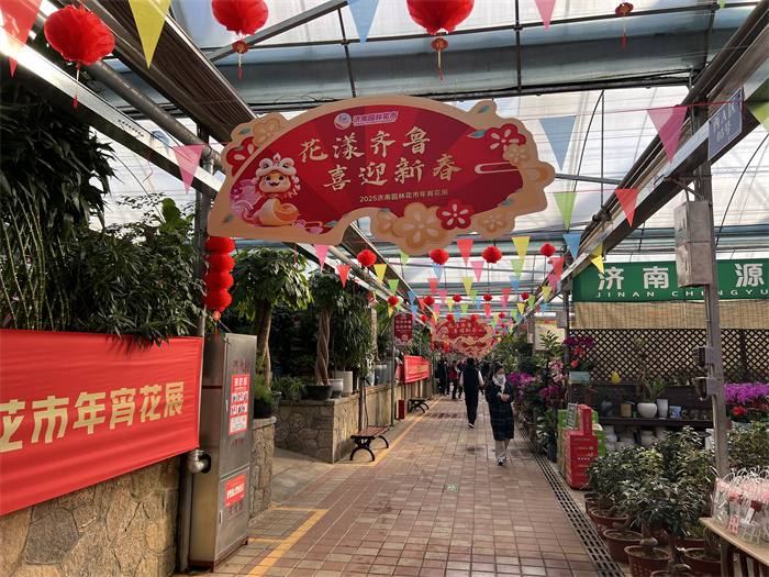 花漾齐鲁 喜迎新春 济南园林花市暨2JN江南025年宵花节开幕泉城新闻大众网(图1)