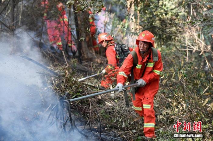 2019年中国共发生森林火灾2345起 受害森林面积约13505公顷