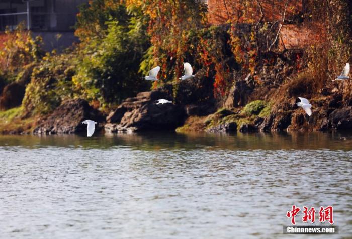 生态环境部：2019年长江流域水质优良比例为91.7%