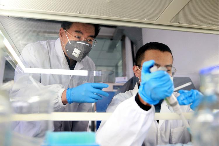 山东省18家定点医院全部开启微生态抗新冠肺炎的临床试验