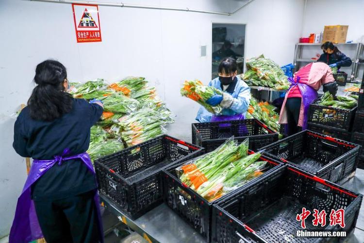 武汉全力保障蔬菜市场供应