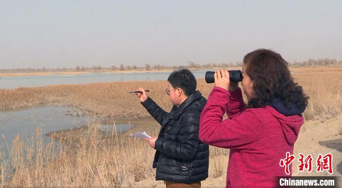 「湿地」全国最长内陆塔里木河生态改善首次迎来大批量候鸟（图）