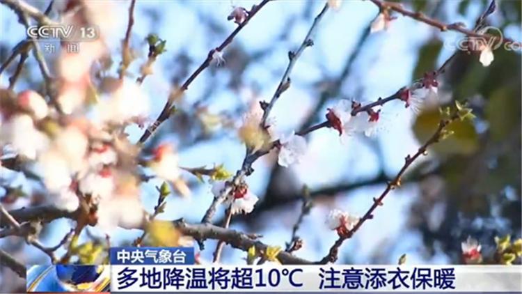 『冷空气』天气多变！这些地方最低气温降至0℃或以下 请注意保暖