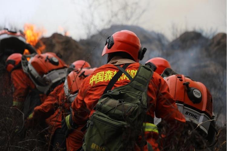 全国一周接报56起森林火灾，绝大多数人为原因引发