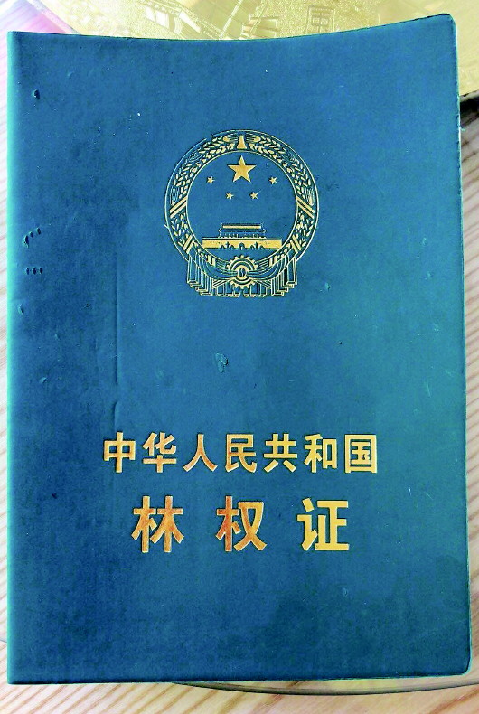 1983年林权证图片图片