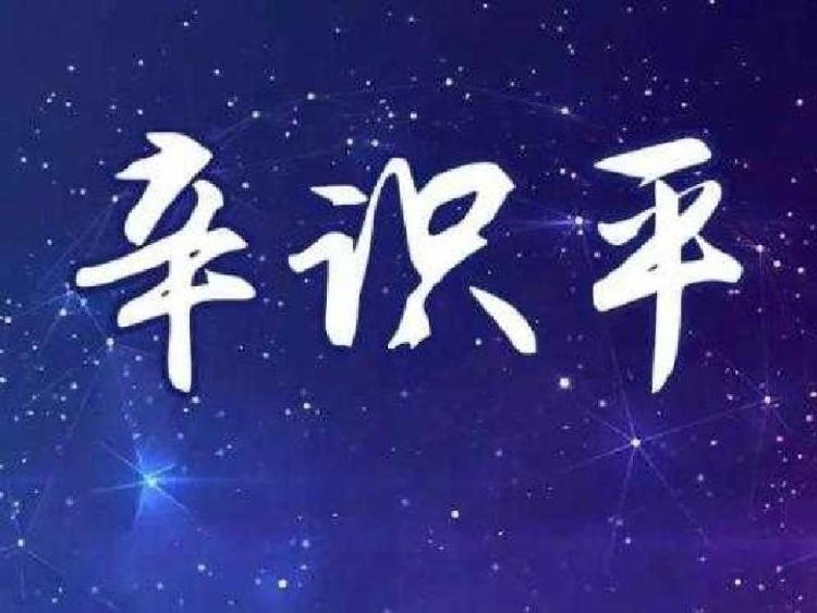 「留学生」辛识平：海外学子，祖国始终牵挂着你们