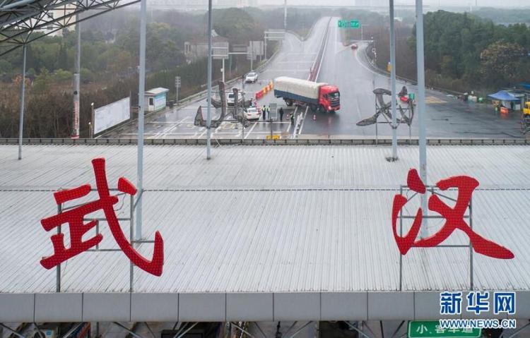 『武汉』新华网评：风雨压不垮 苦难中开花