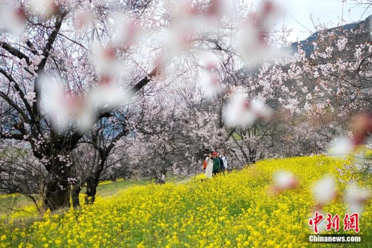 『天路2.0版又近一步！带你赏雪域美景，西藏包邮不是梦』天路2.0版又近一步！带你赏雪域美景，西藏包邮不是梦