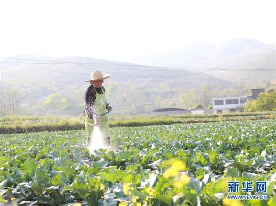 【茶马】逐项逐户排查补齐脱贫攻坚“短板”