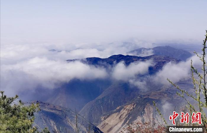 「清水」甘肃清水山间花海绚烂 云雾缭绕似“世外桃源”