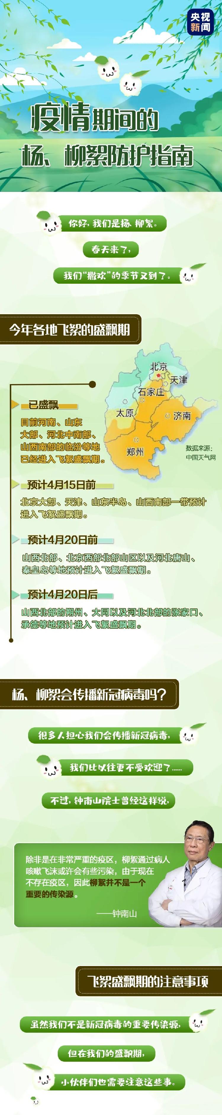 「杨、柳絮：有人说我会传播新冠病毒？其实……」杨、柳絮：有人说我会传播新冠病毒？其实……