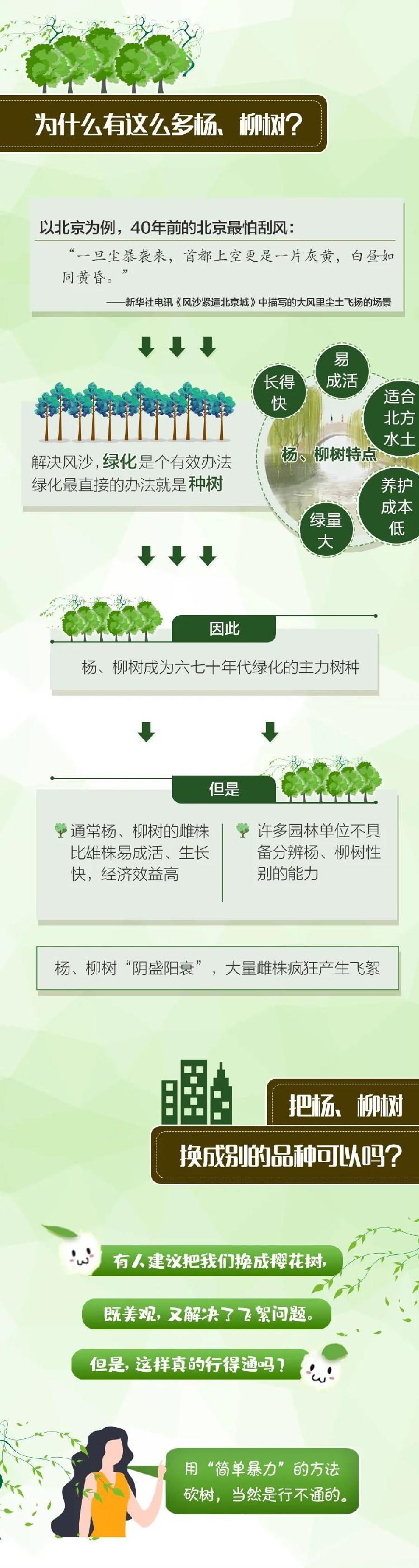 「杨、柳絮：有人说我会传播新冠病毒？其实……」杨、柳絮：有人说我会传播新冠病毒？其实……