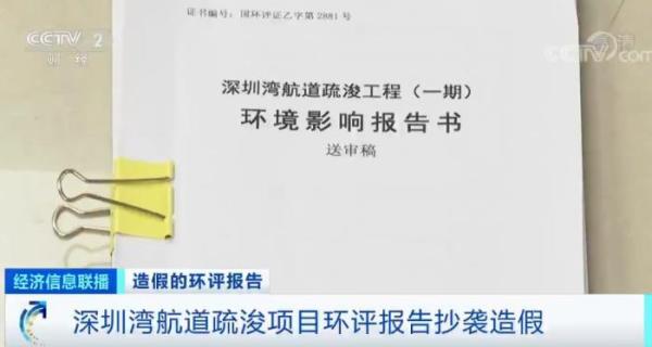 启动问责和调查！“深圳湾”环评造假案有了新进展