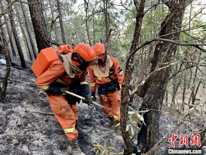 「森林」丽江龙蟠乡森林火灾明火已全线扑灭