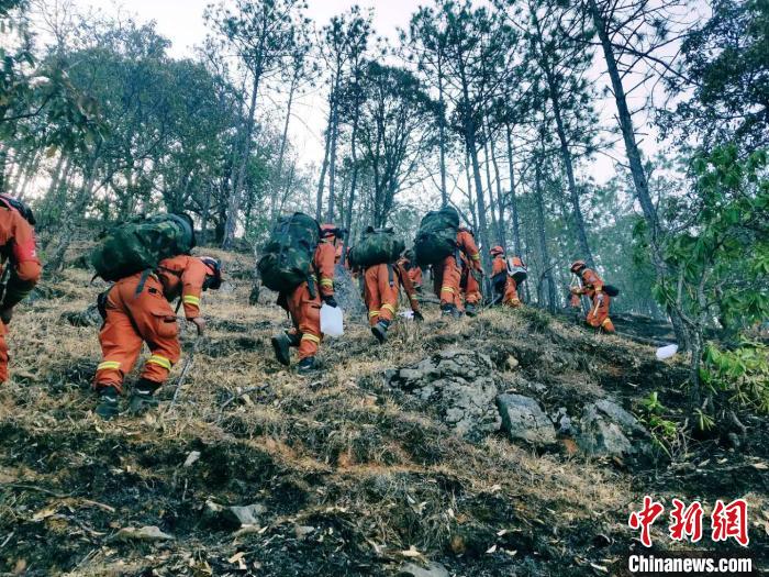 「森林」丽江龙蟠乡森林火灾明火已全线扑灭