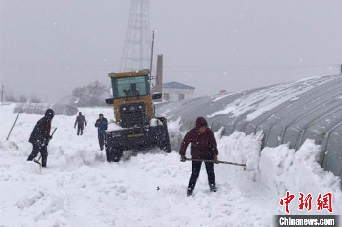 #黑河#中国边城黑河迎战暴雪 多方联动保畅通保生产