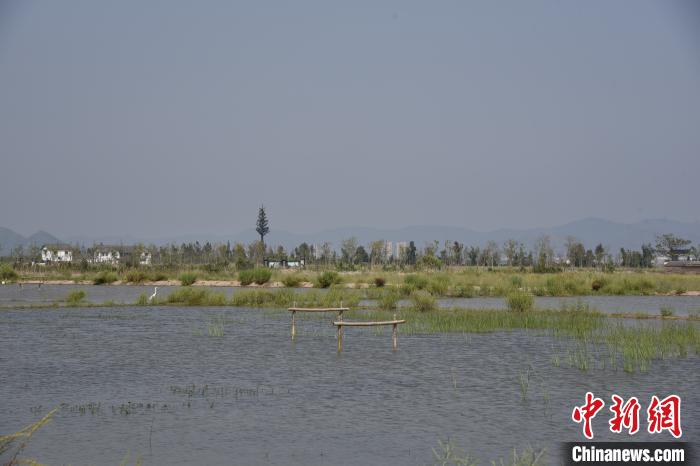 【湿地】浙江漩门湾湿地的“治与守”：让城市融入大自然