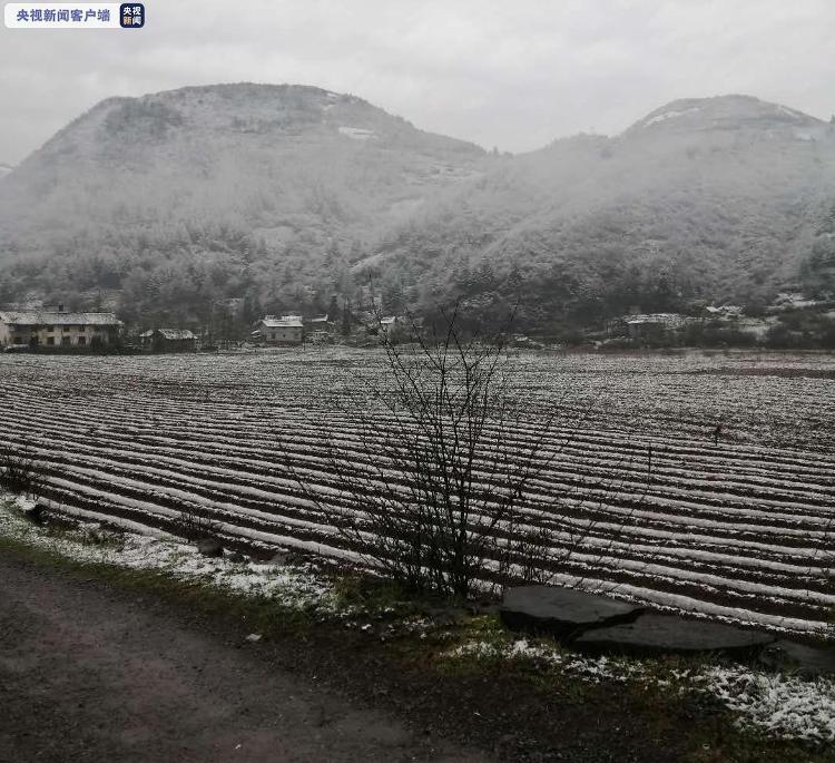 春雪：重庆奉节气温骤降茅草坝景区迎降春雪