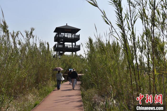 [湿地]浙江漩门湾湿地的“治与守”：让城市融入大自然