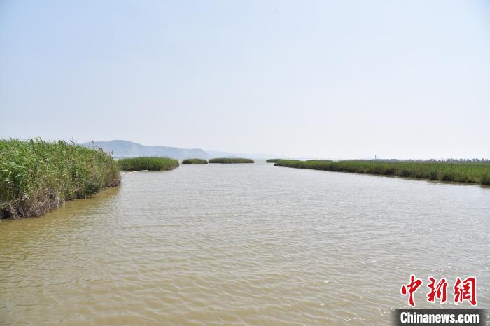 [湿地]浙江漩门湾湿地的“治与守”：让城市融入大自然