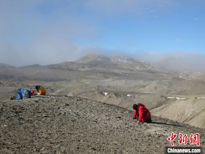 最新研究：4000万年前远古南极或拥有暖温带气候：最新研究：4000万年前远古南极或拥有暖温带气候