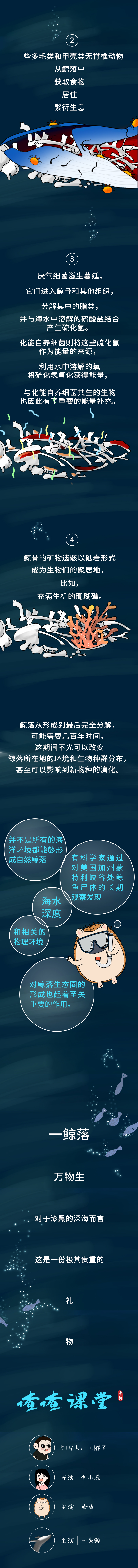 「课堂」喳喳课堂 | 何为“鲸落”？以一命换万物生……