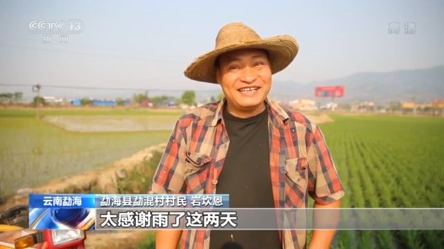 #勐海县#久旱逢甘霖 云南勐海旱情暂时缓解